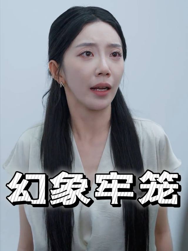 幻象牢笼封面