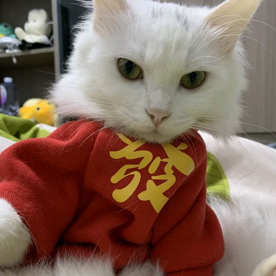 3月新漫堕落之子封面