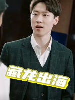 藏龙出海封面