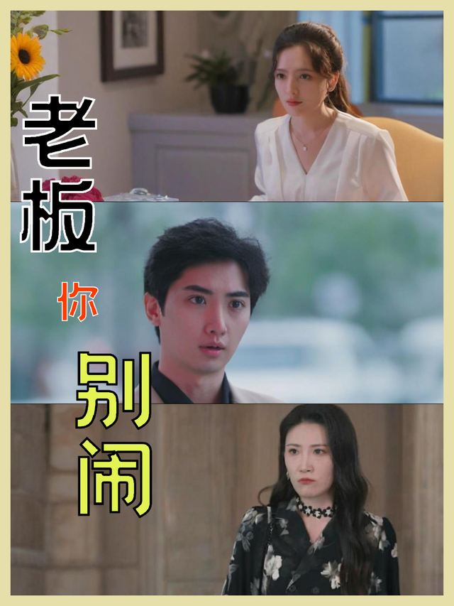 老板你别闹封面
