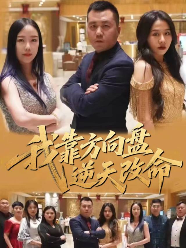 我靠方向盘逆天改命封面