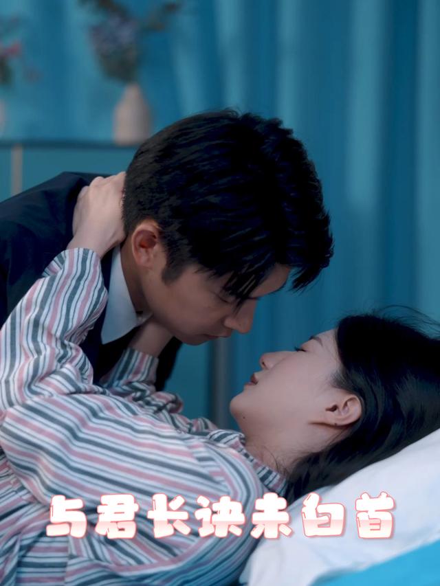 与君长诀未白首封面