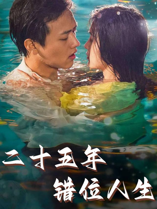 二十五年错位人生封面