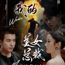 我的美女总裁封面