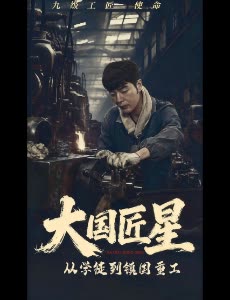 大国匠星:从学徒到镇国重工封面