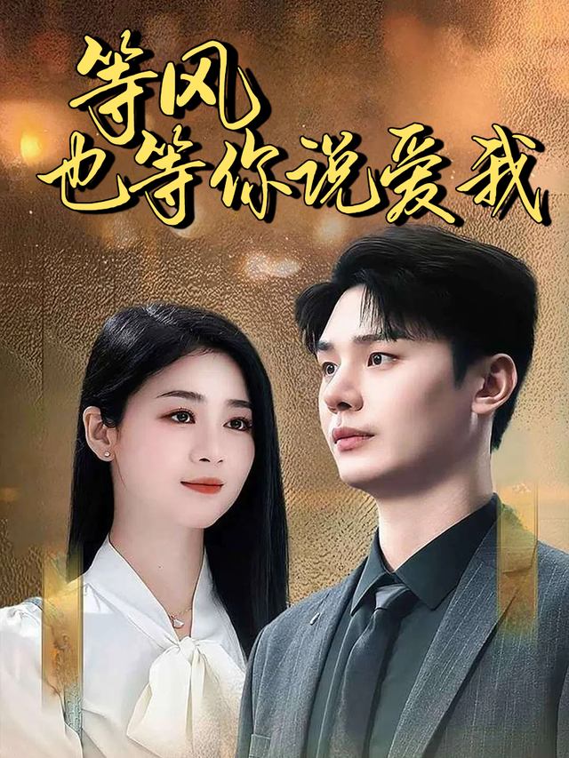 等风也等你说爱我封面