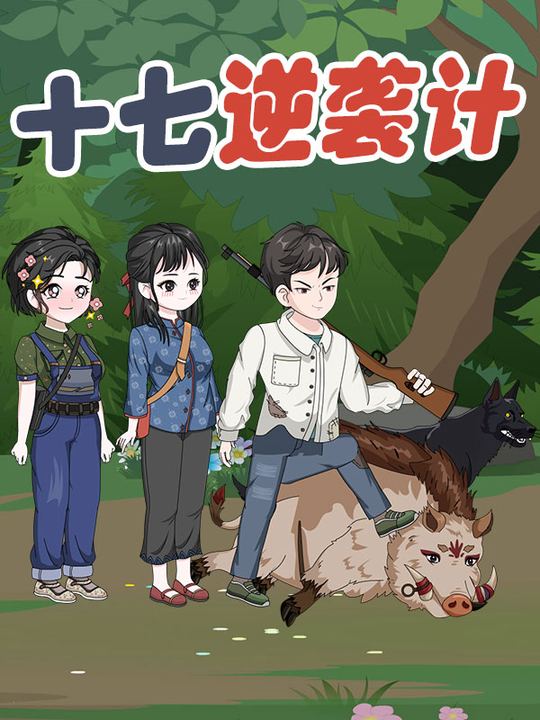 十七逆袭计封面