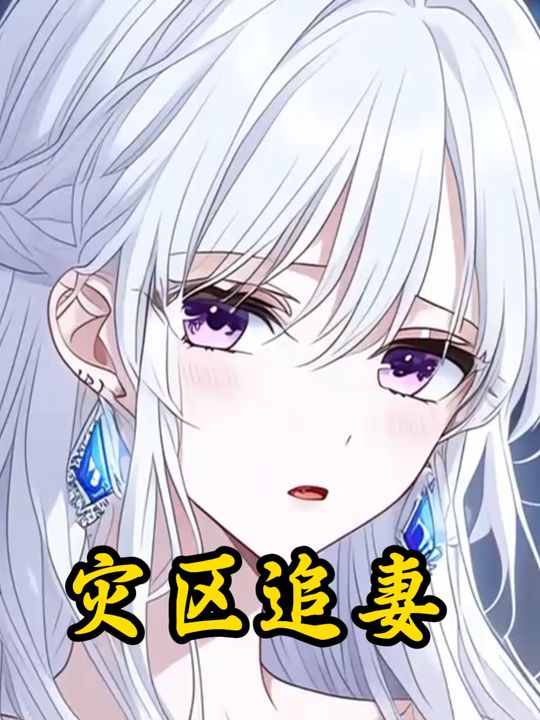 灾区追妻封面