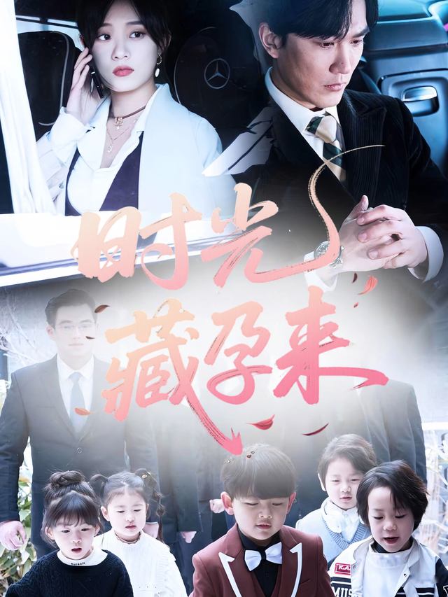 时光藏孕来封面