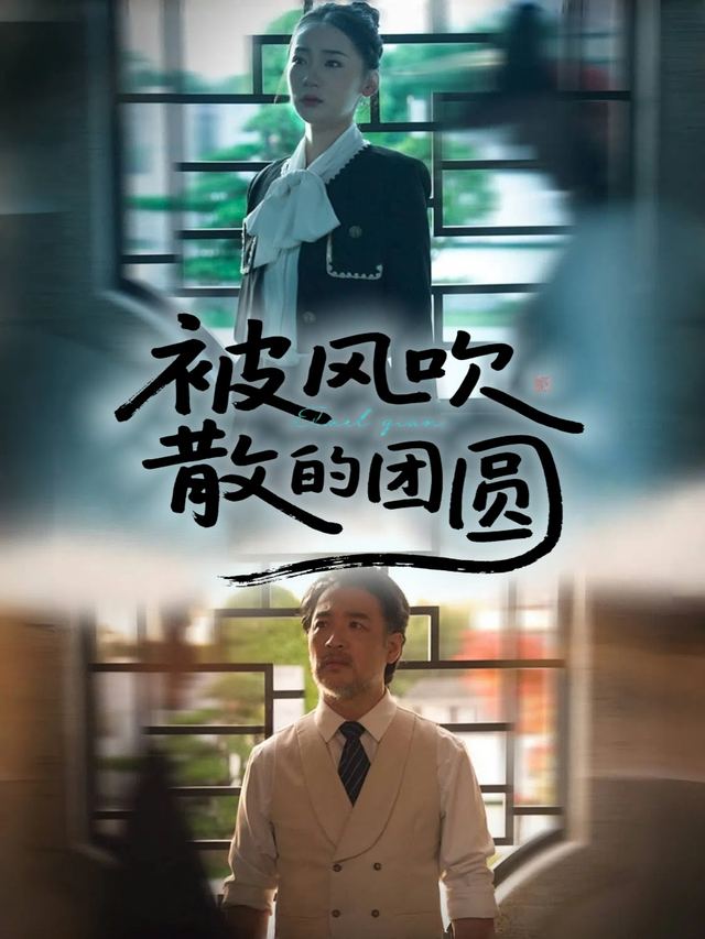 被风吹散的团圆封面