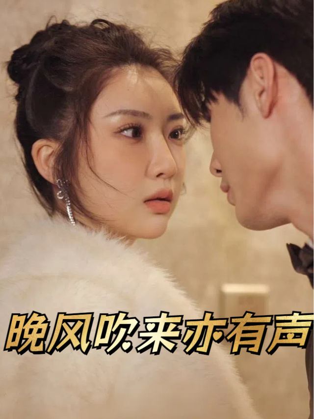 晚风吹来亦有声封面