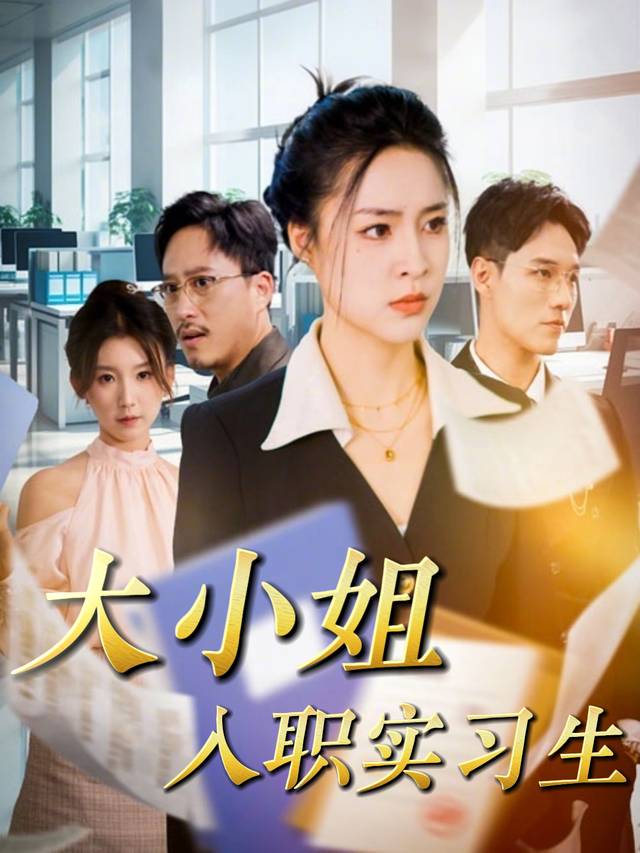 大小姐入职实习生封面