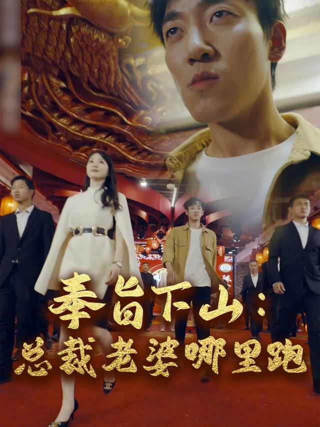 奉旨下山:总裁老婆哪里跑封面