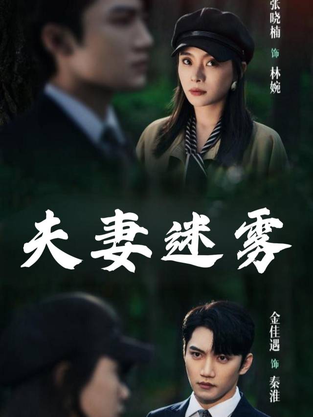 夫妻迷雾封面