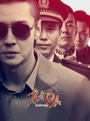 勇者无惧(上)封面