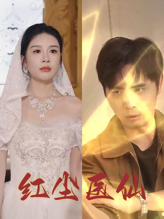 红尘医仙封面