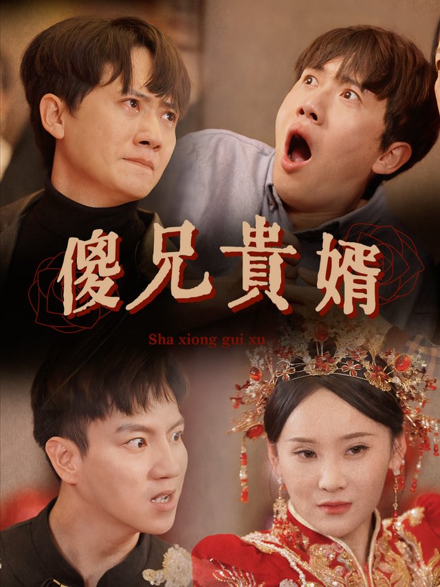 傻兄贵婿封面
