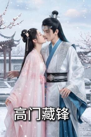 高门藏锋封面