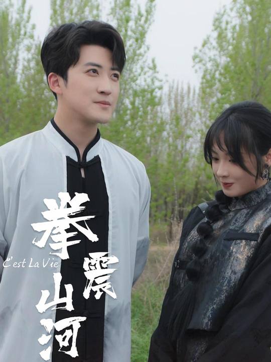 拳震山河封面