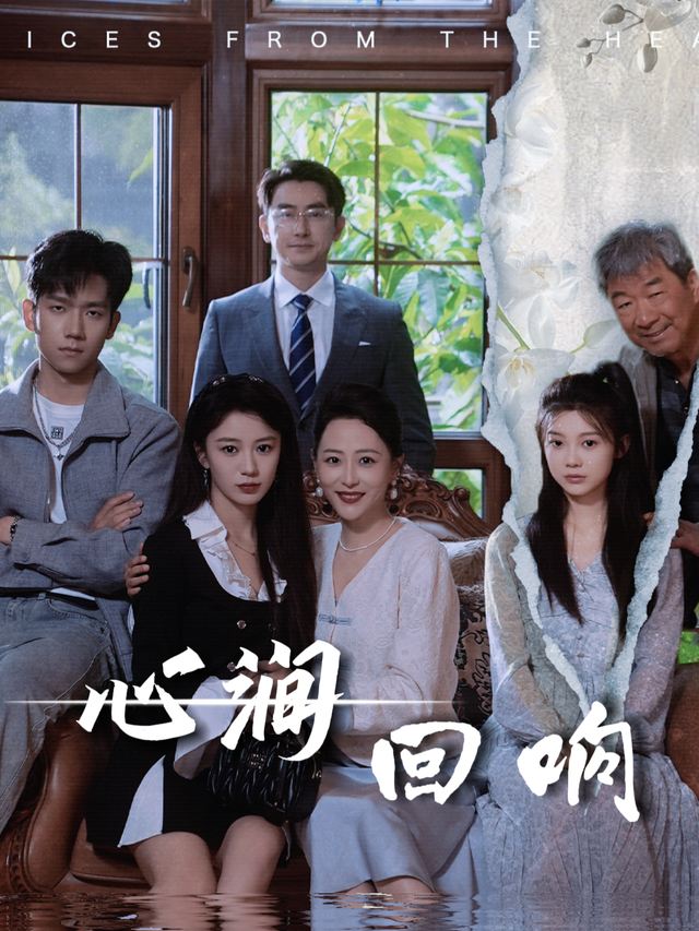 心涧回响封面