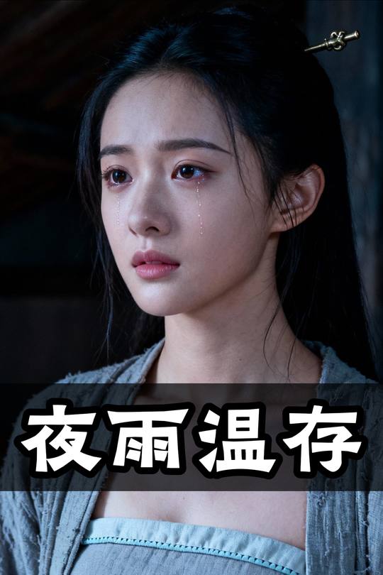 夜雨温存封面