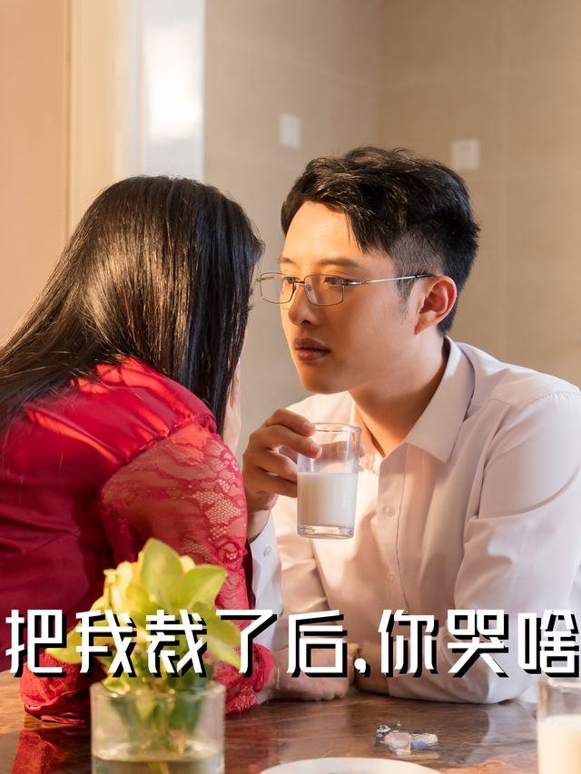 把我裁了后,你哭啥封面