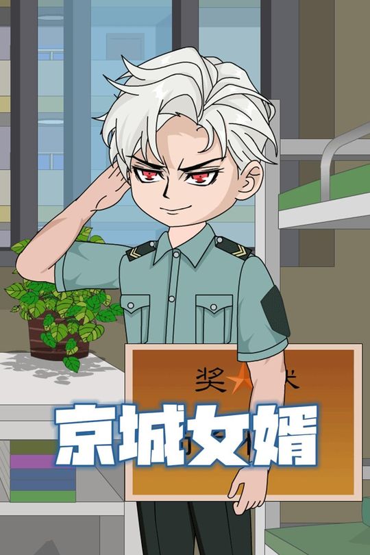 京城女婿封面