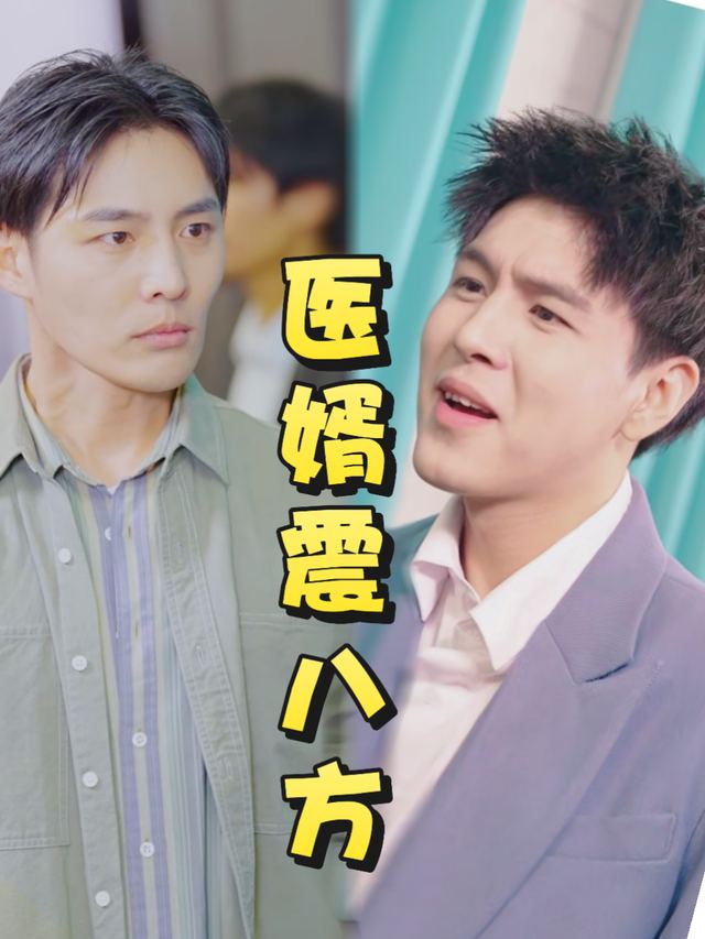 医婿震八方封面