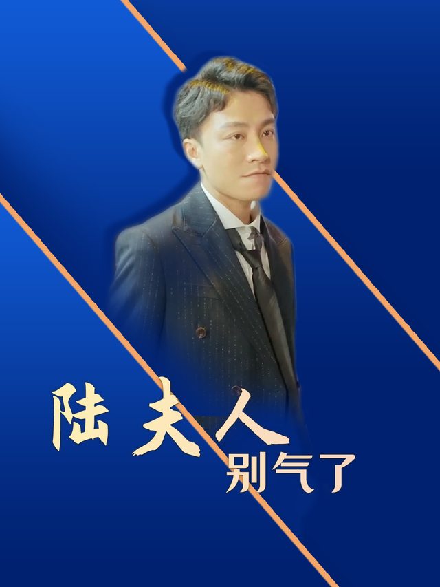 陆夫人别气了封面
