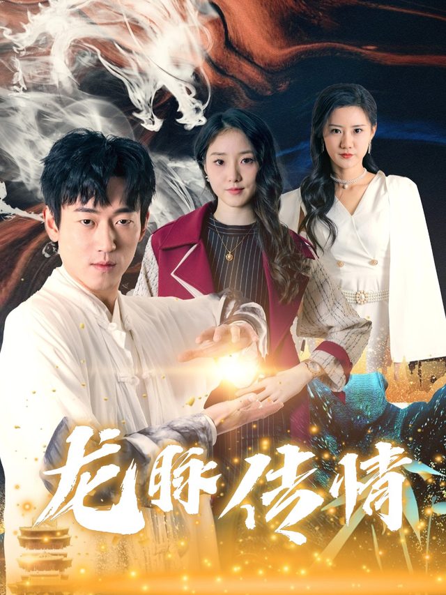 龙脉传情封面
