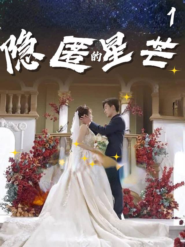隐匿的星芒封面