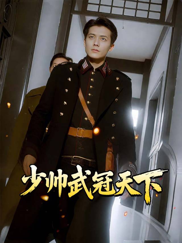 少帅武冠天下封面