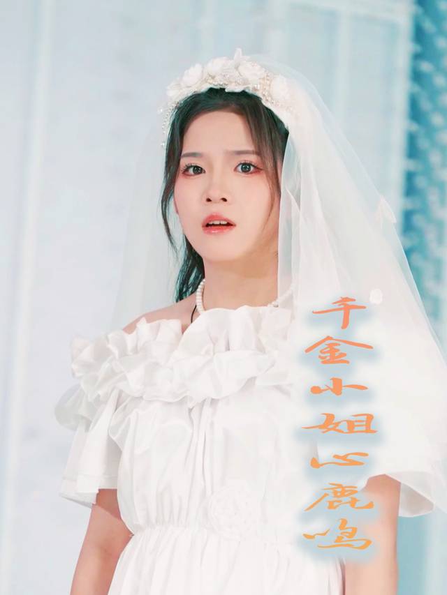 千金小姐心鹿鸣封面