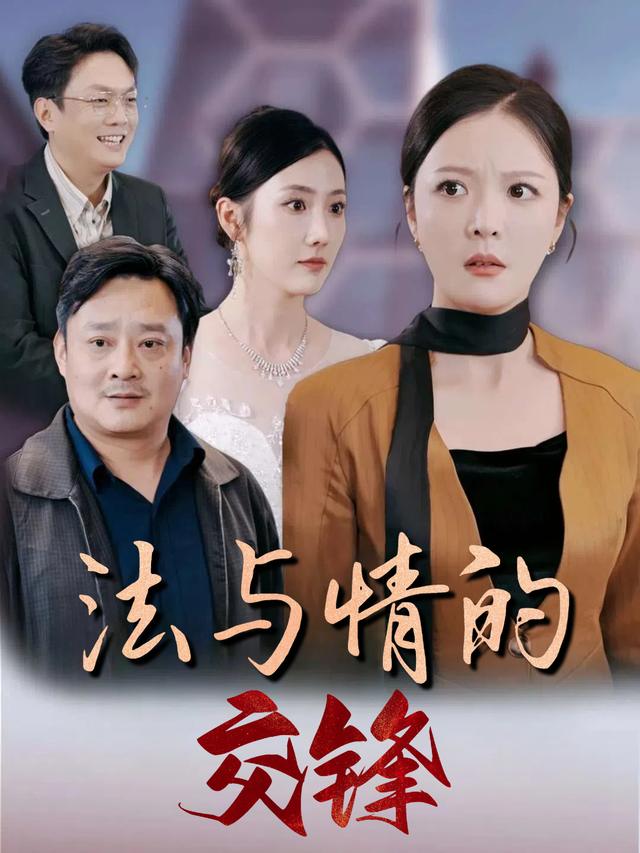 法与情的交锋封面