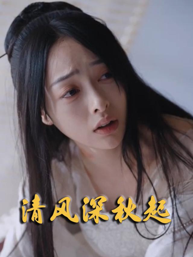 清风深秋起封面