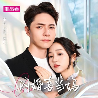 闪婚喜当妈封面