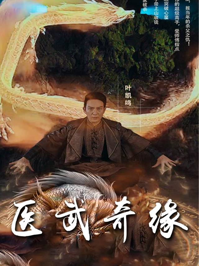 医武奇缘封面