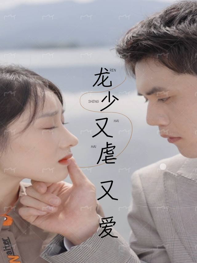龙少又虐又爱封面