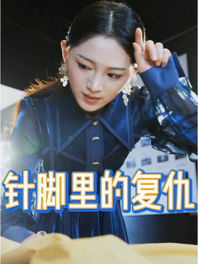 针脚里的复仇封面