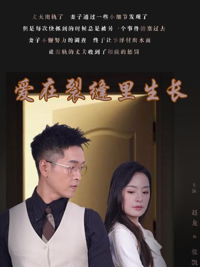 爱在裂缝里生长封面