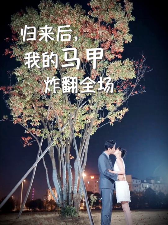 归来后,我的马甲炸翻全场封面