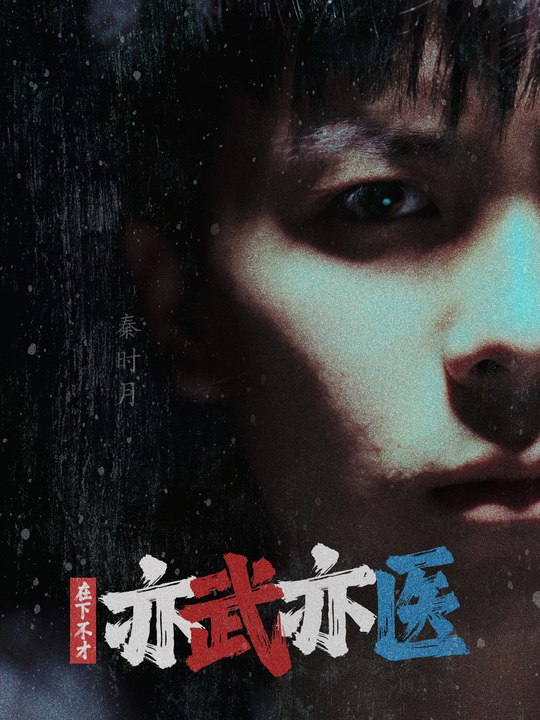 在下不才,亦武亦医封面