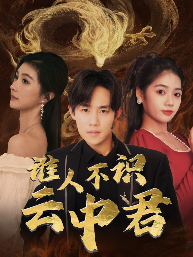 谁人不识云中君封面