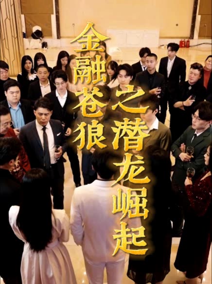 金融苍狼之潜龙崛起封面