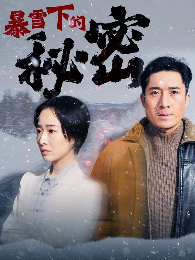 暴雪下的秘密封面