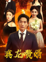 真龙赘婿封面