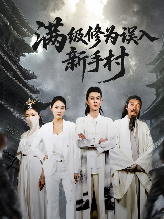 满级修为误入新手村封面