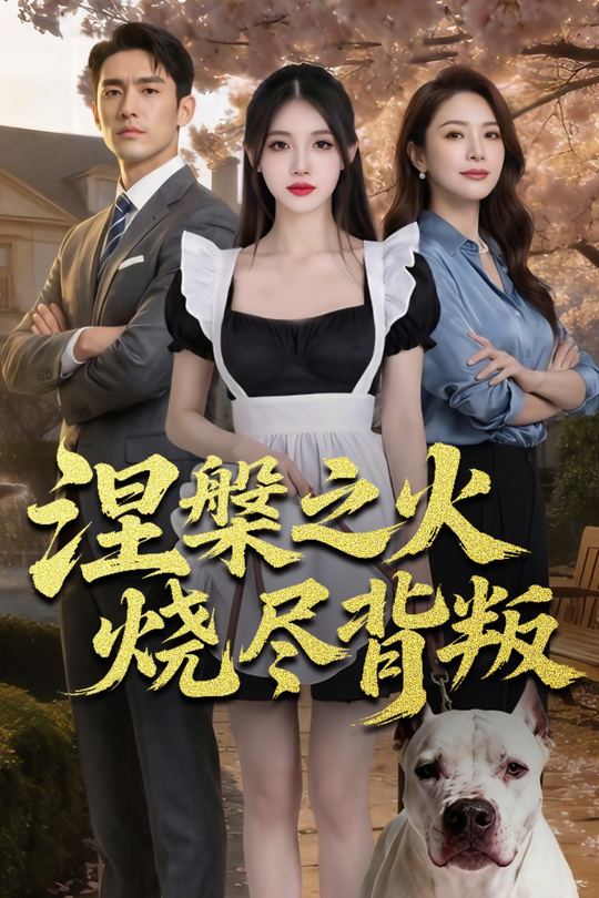 涅槃之火烧尽背叛封面