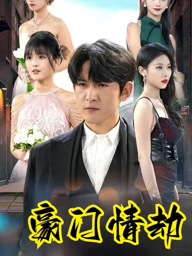 豪门情劫封面
