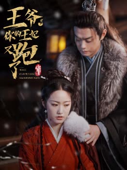 王爷,你的王妃又跑了封面